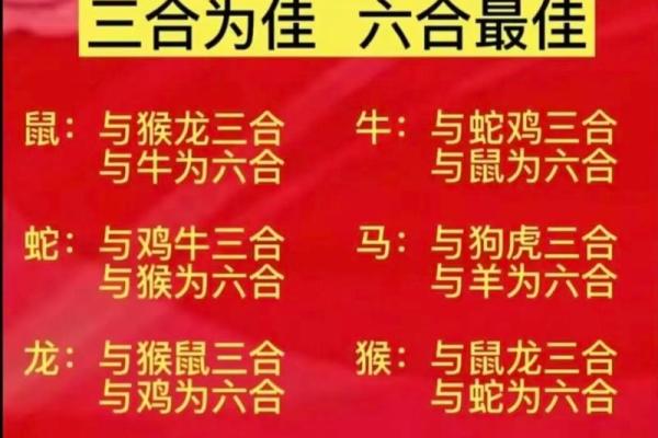 1984年属鼠人的最佳婚配属相是哪些生肖配对