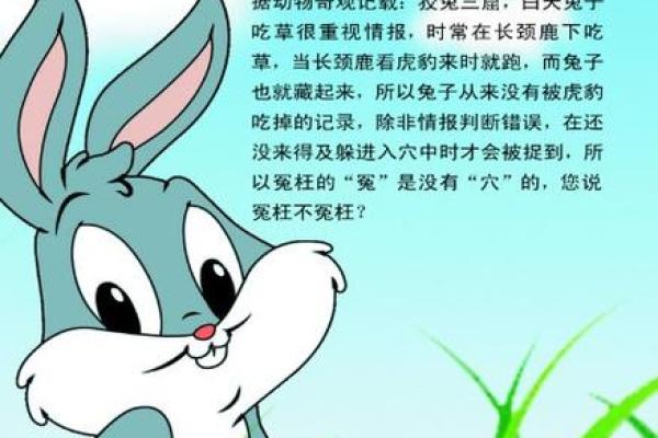 属鼠与属兔的夫妻相处会有哪些潜在矛盾和解决方法? 属鼠与属兔的夫妻相处会有哪些潜在矛盾和解决方法?