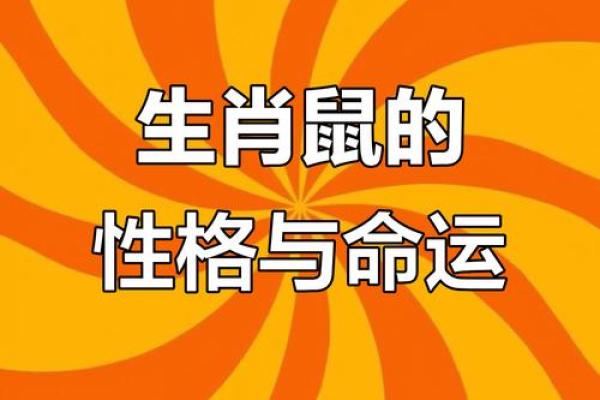 属鼠和属马的人结婚在性格和运势上是否真的合适呢？