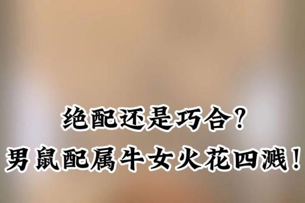 听说男鼠女羊是绝配，想了解具体原因和生活中的实际相处建议