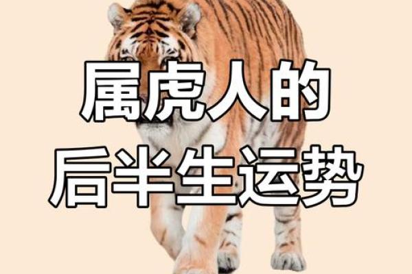 1974年属虎女性二婚命运解析，如何把握再婚幸福关键