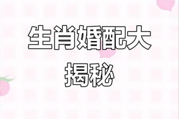 鼠男与哪个生肖女结婚最幸福长久婚姻配对