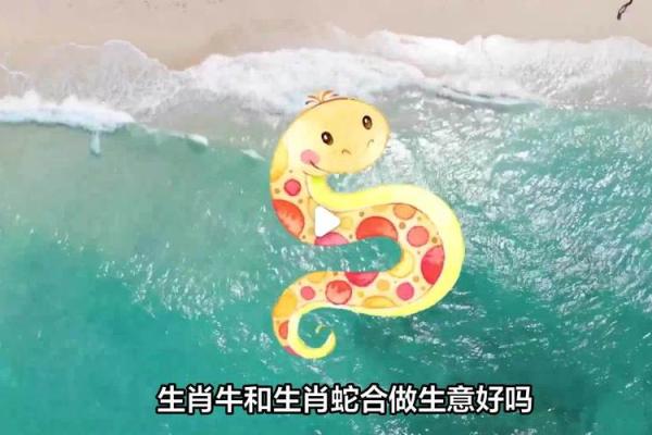 属牛和属蛇的生肖组合在感情中需要注意哪些问题？