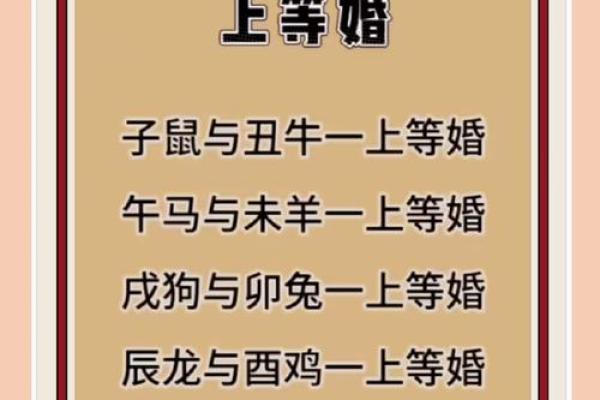 男狗女鼠生肖配对婚姻是否幸福长久，属相合不合？