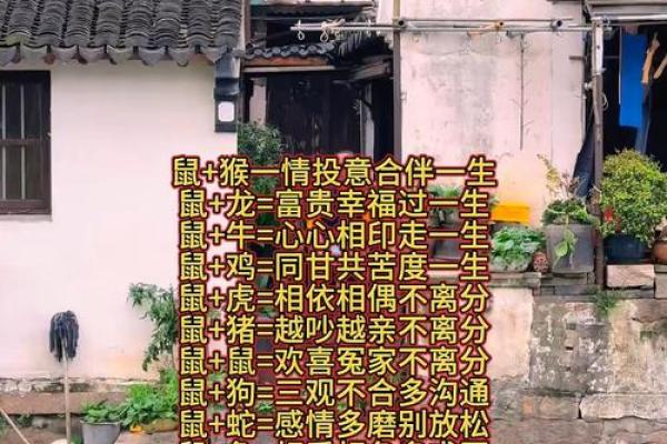 鼠和鼠相配的婚姻在性格和运势上是否真的合适？