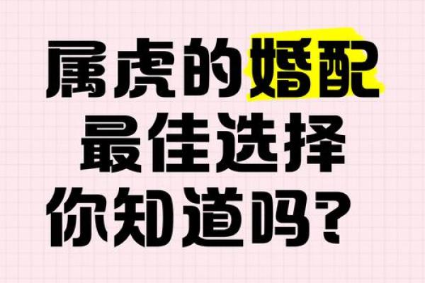 1986年属虎的最佳婚配属相是哪些，能带来好运势？