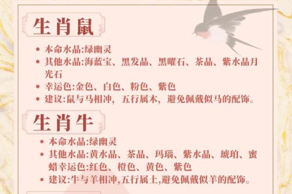 属鼠的人和什么属相最合得来，详细解析鼠生肖配对宜忌