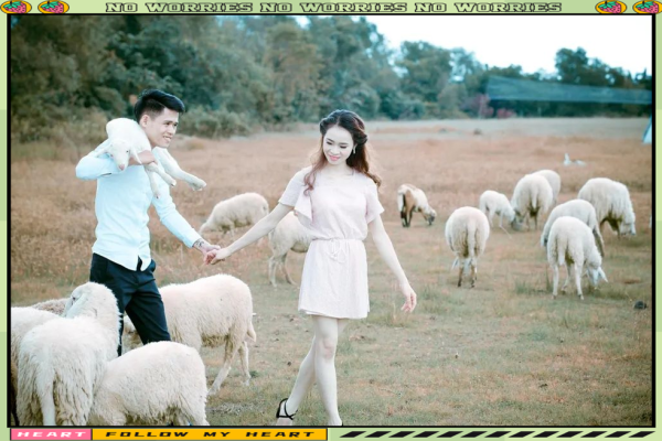 男属鼠女属羊的婚姻配对真的合适吗？从性格和命理角度详细分析