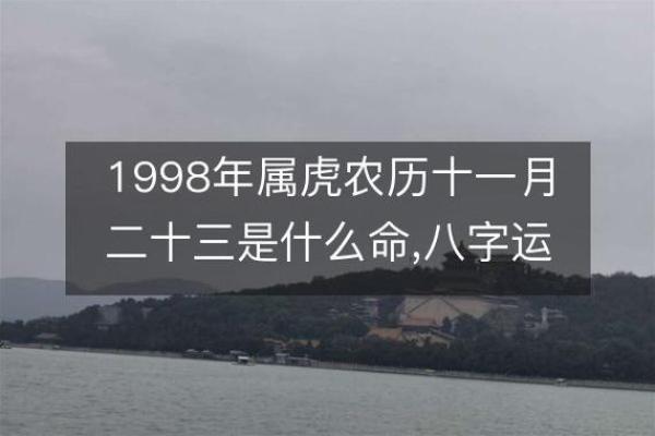 1998年出生的属虎人2024年感情运势如何看婚姻