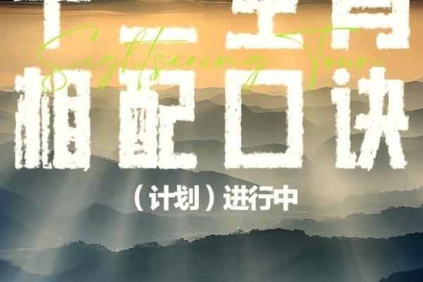 牛虎属相婚配是否真的合适？看看专家怎么说