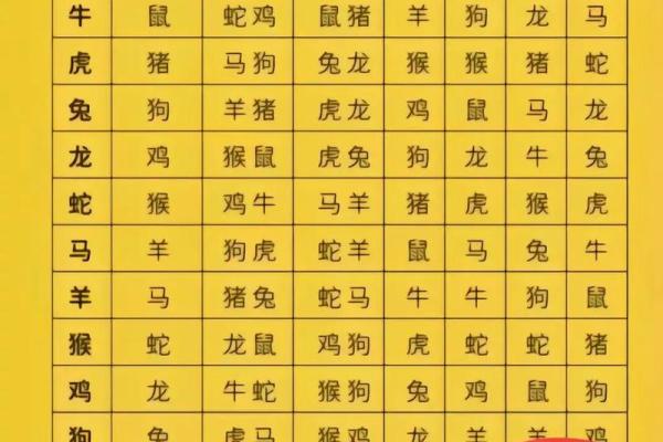龙鼠婚配在生肖命理中的相生相克关系及化解方法详解
