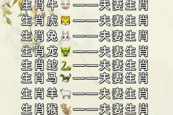 龙和龙的婚配在生肖配对中是否属于上等婚配？