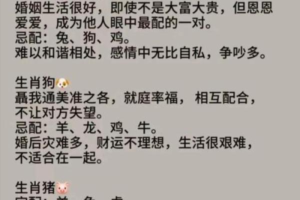 龙和龙的婚配在生肖配对中是否属于上等婚配？
