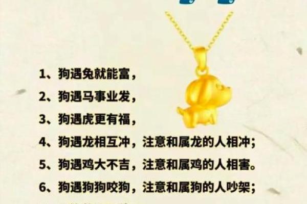 1982年属狗的人二婚会在什么时候遇到正缘呢