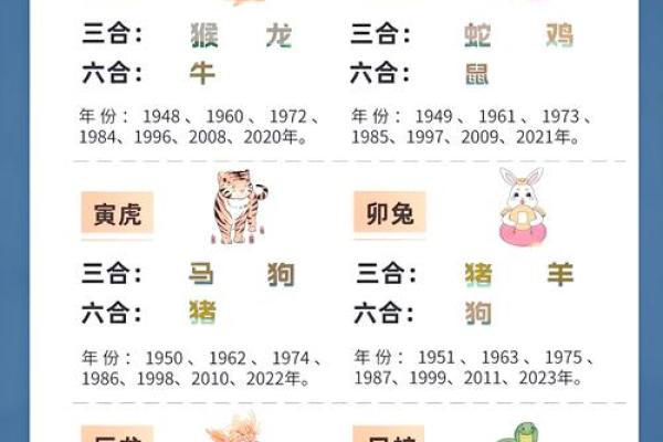 蛇猪属相婚配会有冲突吗？深入解读传统生肖配对中的相合与相克