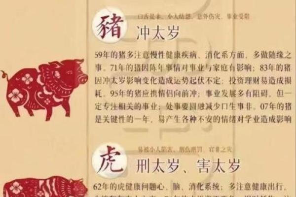 蛇猪属相婚配会有冲突吗？深入解读传统生肖配对中的相合与相克