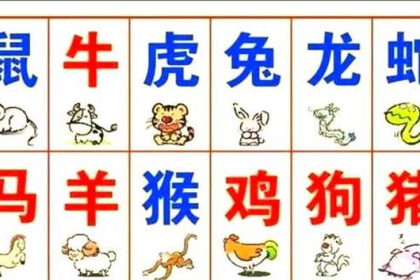 从五行八字角度分析，属兔和属蛇的夫妻组合是否长久和谐？