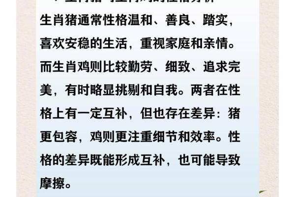 作为生肖猪的人，如何找到最适合自己的另一半并维持长久幸福关系？