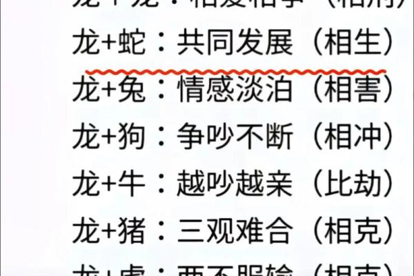 龙和马属相婚配是否合适，需要注意哪些方面？