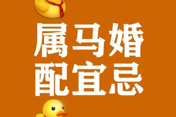 龙和马属相婚配是否合适，需要注意哪些方面？
