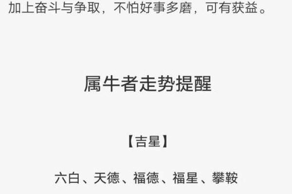 属牛人2025年婚姻运势详解，需要注意哪些感情问题与挑战