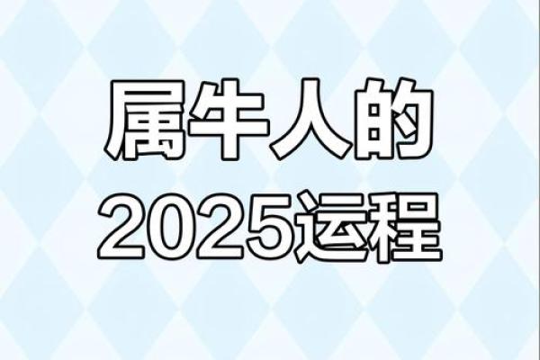 属牛人2025年婚姻运势详解，需要注意哪些感情问题与挑战