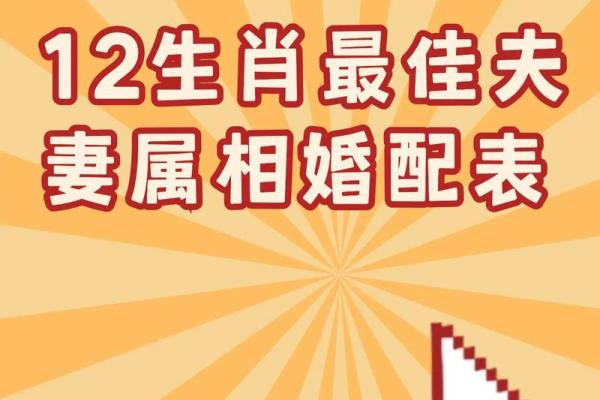 1997年属牛的最佳婚配属相是哪些，性格合得来最重要