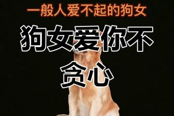 1994年出生的属狗人找什么属相最合适，婚后生活幸福吗？