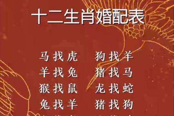 根据生肖配对表寻找理想伴侣，详解12生肖男女婚姻幸福秘诀