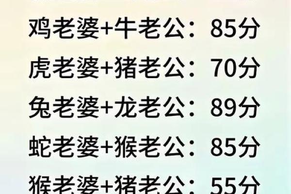 从生肖配对角度分析，属狗的人和什么属相结婚最幸福美满
