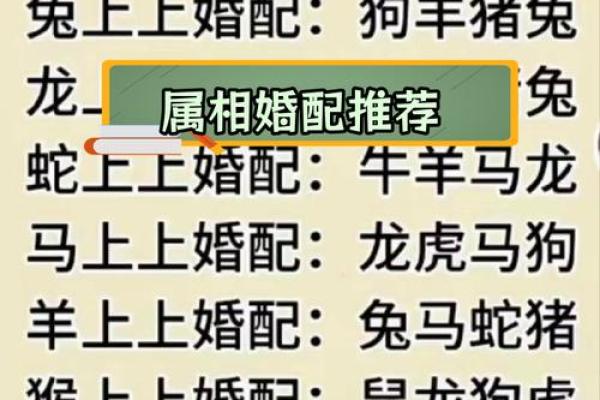 属狗的属相婚配表大全：哪些属相与狗年出生的人最合适结婚