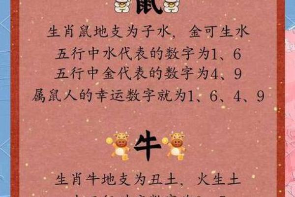 从生肖性格角度分析，狗年男性和猪年女性结婚后的相处模式与婚姻建议