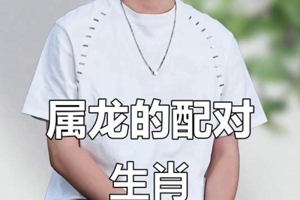 属龙的人最适合和哪些属相结婚才能幸福长久 属龙的人最适合和哪些属相结婚才能幸福长久