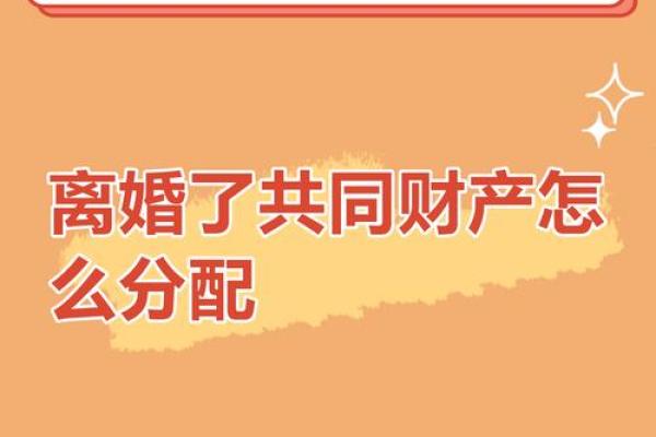 2025年离婚财产分割最需要注意的生肖女前三名