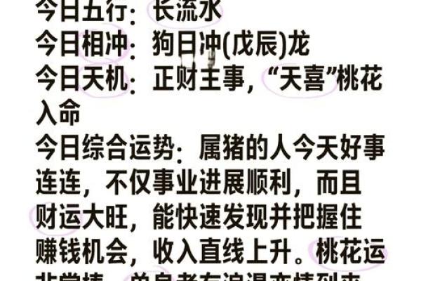 属猪的人做生意和哪个属相合作最容易发财致富