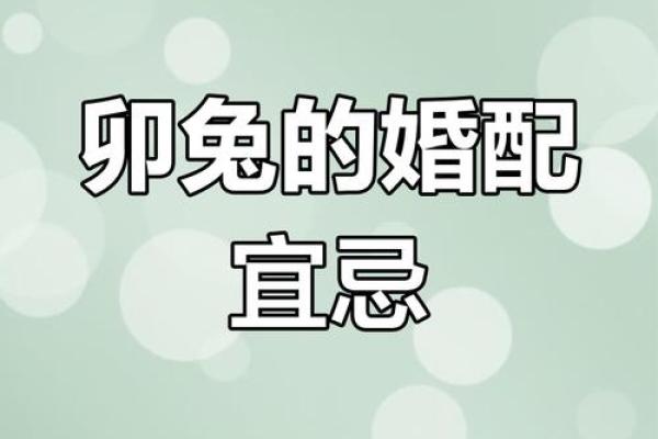 87年属兔和84年属鼠的婚配情况如何，是否相合？