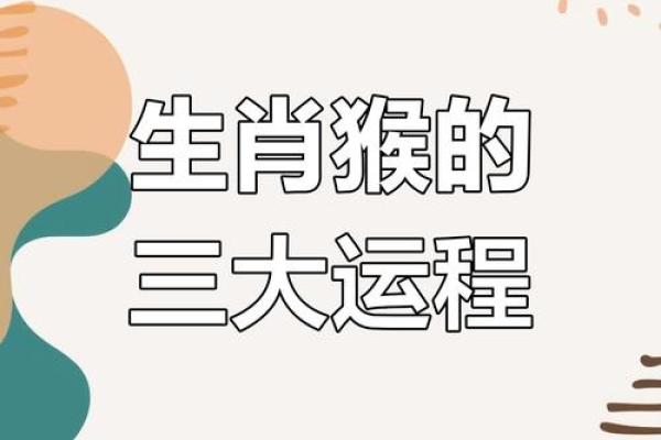 1992年出生的属猴人婚姻是否顺利？命中注定的正缘在何时出现？