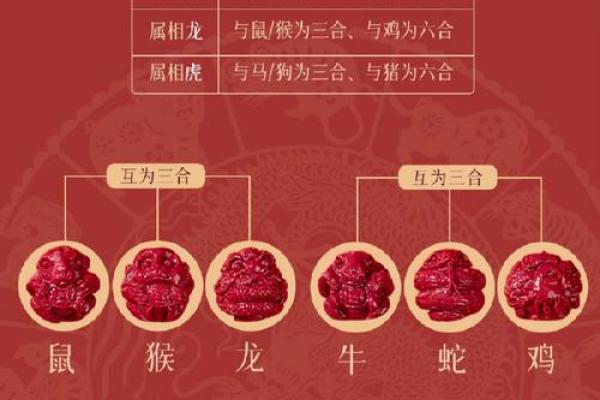 蛇和虎的属相婚配是否合适，需要注意哪些方面？
