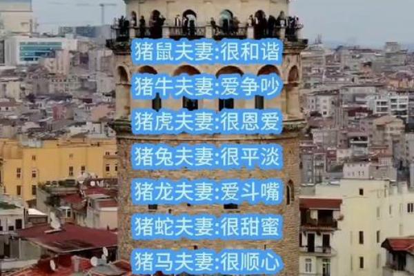 女属猪的婚姻应该避开哪几个不合适的生肖属相？