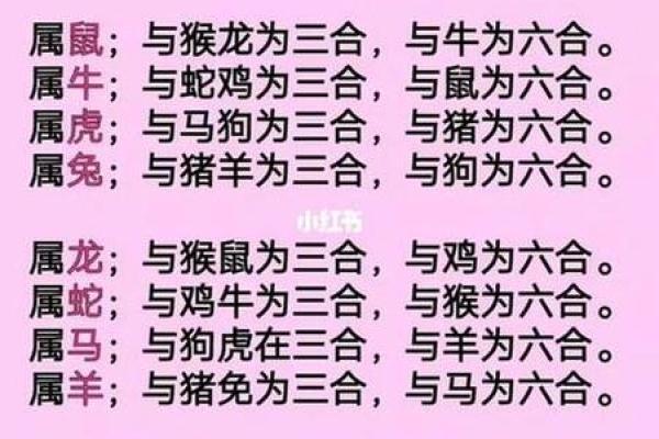从生肖配对角度解析鼠男大蛇女5岁的婚姻契合度与得把眼睛擦亮了