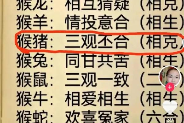 属猴的和什么属相最配婚姻，属相配对查询指南