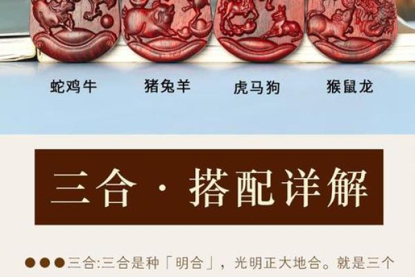 属龙和属马的人在一起合作共事,生肖配对结果如何? 属龙和属马的人在一起合作共事,生肖配对结果如何?
