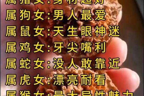 从生肖性格角度分析，属猪和属狗的人在一起合不合？
