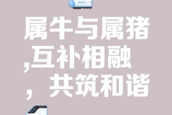 从生肖性格角度分析，属猪和属狗的人在一起合不合？