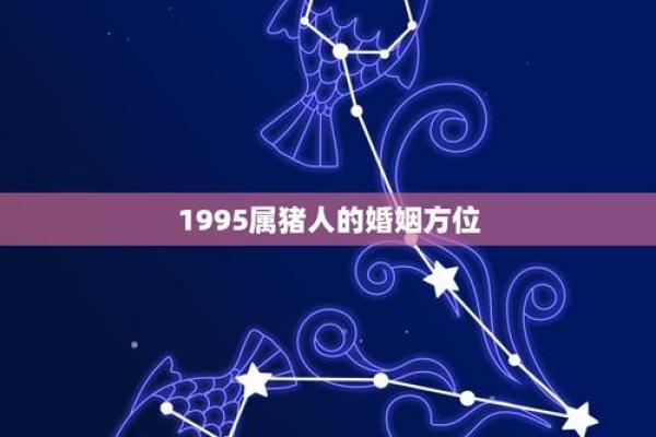 1995年属猪的姻缘配对，最佳生肖婚配对象有哪些