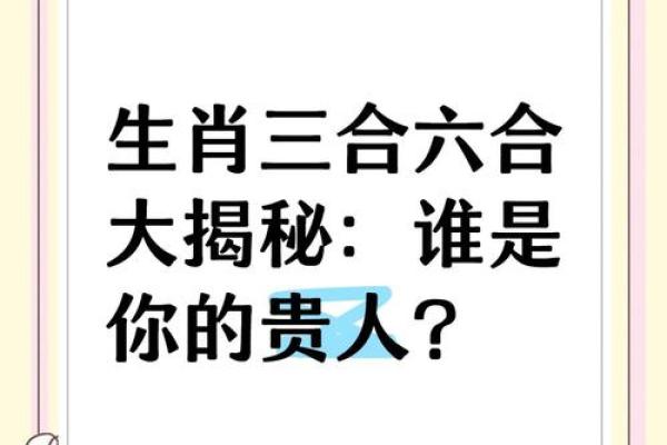 属马和属羊的合作伙伴在事业上合不合，财运怎么样？