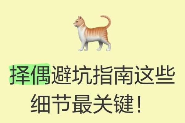 1988年龙年出生男性择偶指南，性格合拍婚姻长久的关键