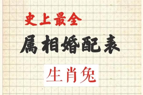 蛇和兔的属相婚配是否真的合适？解析传统说法
