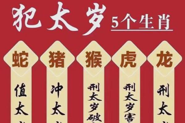 2025年哪些生肖最容易遇到命中注定的正缘对象