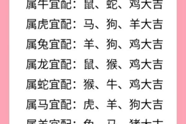 属狗的人和什么生肖最配？揭秘最佳婚恋配对与相处之道